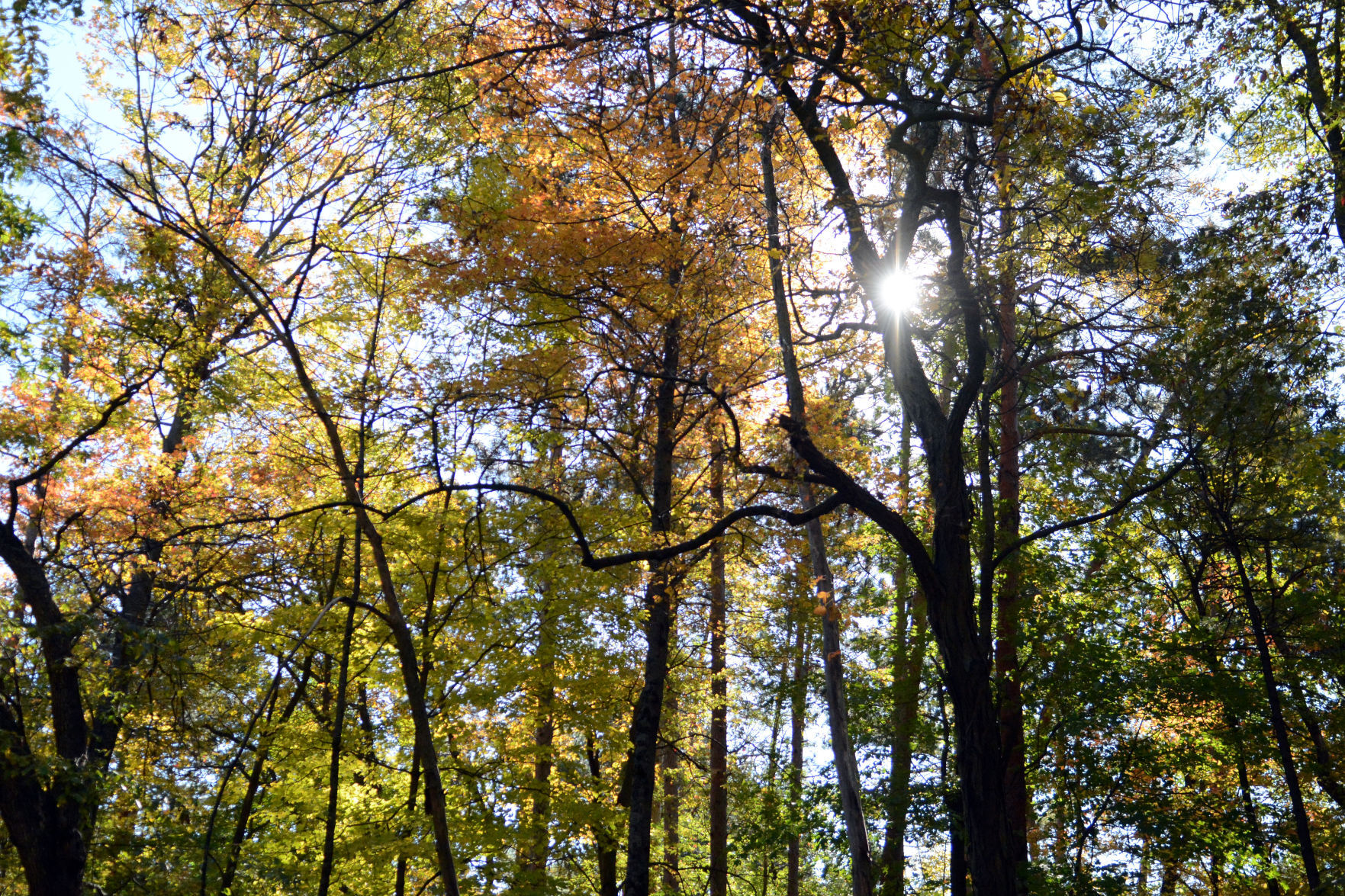 Baraboo area fall color, Oct. 8, 2020